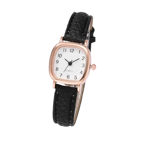 Montre Carrée | Acier Inoxydable et Similicuir